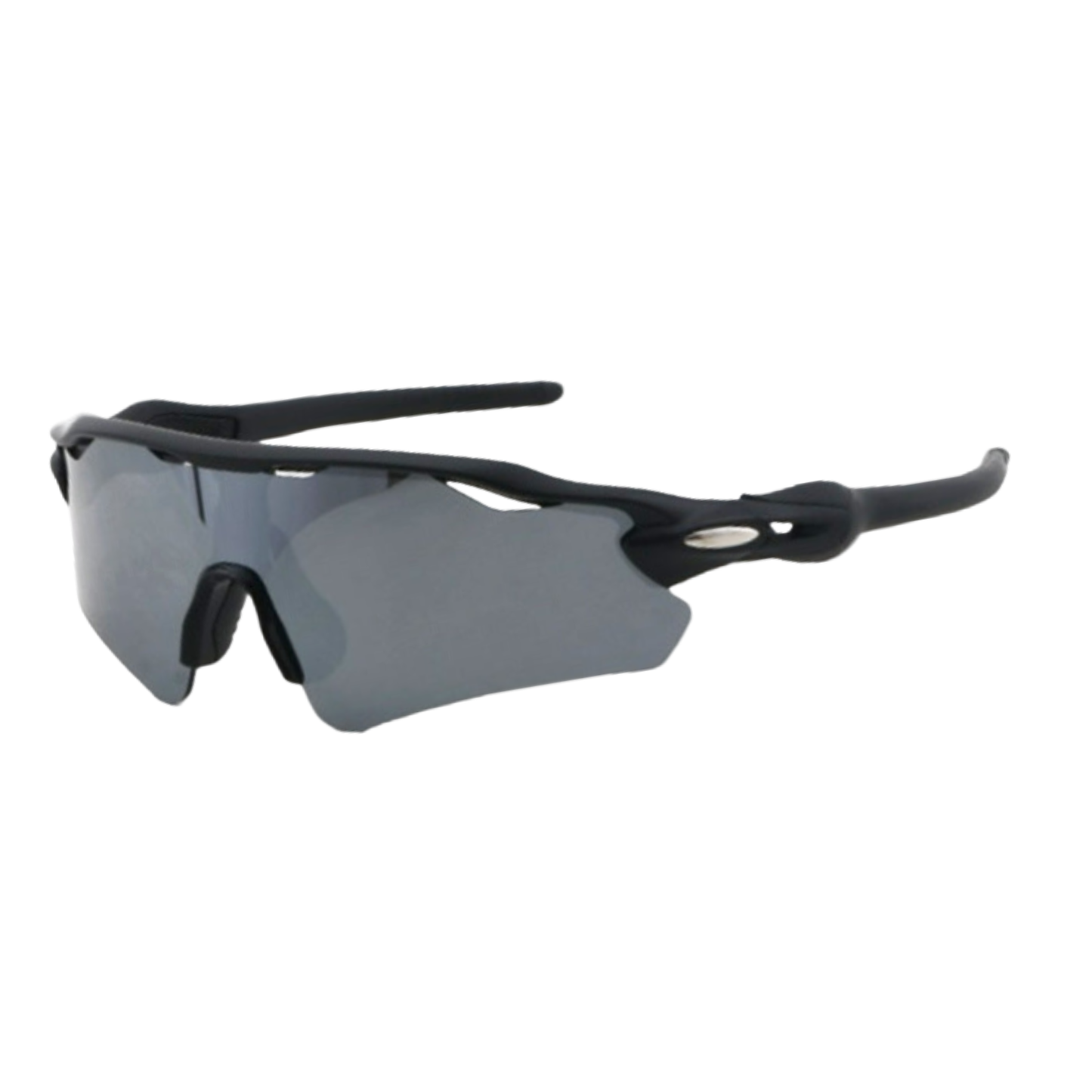 ra5ik Professional Sunglasses